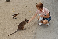 0779 Wildlife Habitat Port Douglas